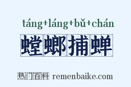 螳螂捕蝉是什么意思的图片